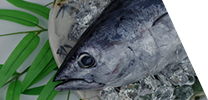 魚介類